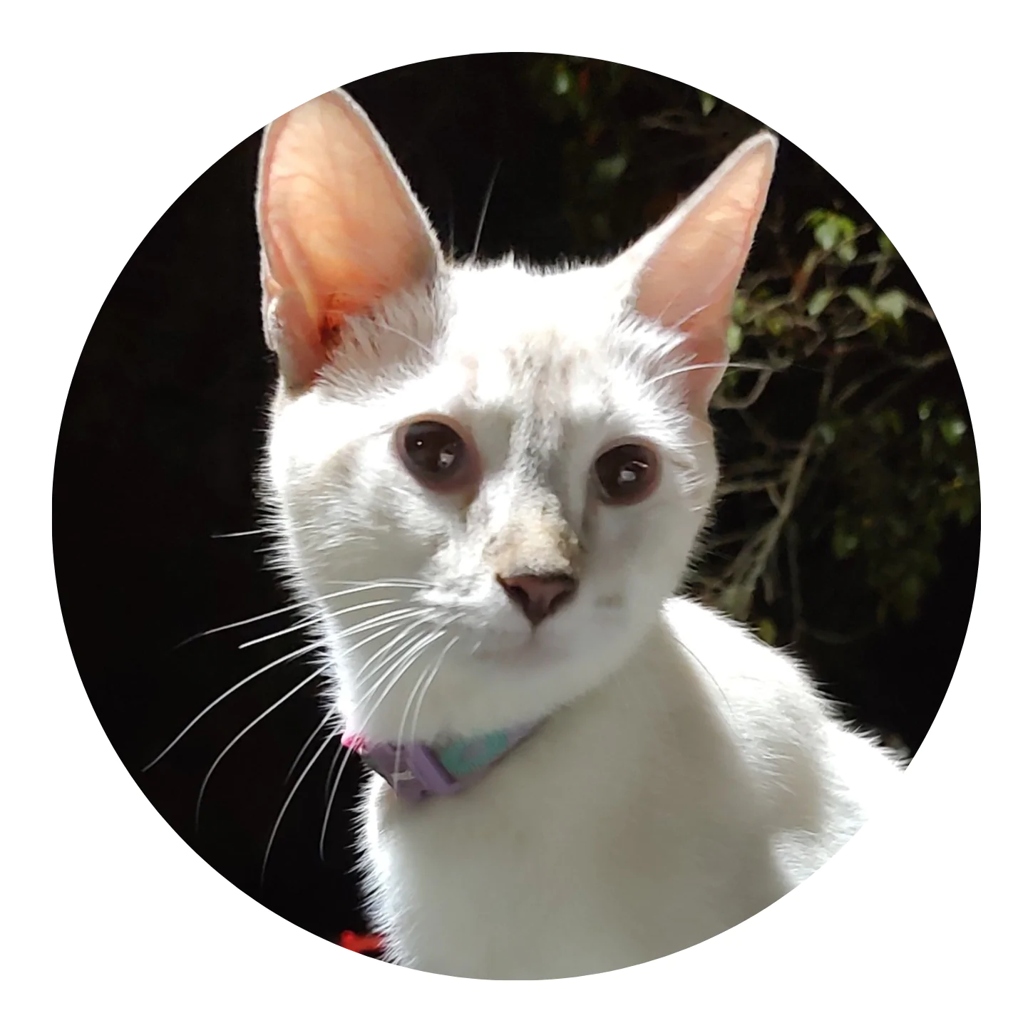 20240520_155103_0000